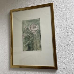 Rose von Christoph Donin