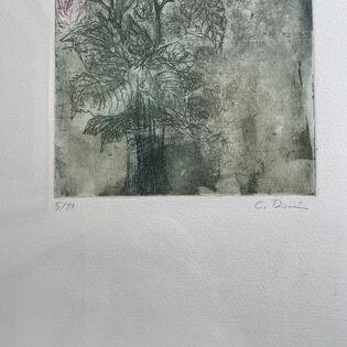 Rose von Christoph Donin
