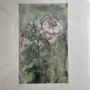 Rose von Christoph Donin