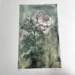 Rose von Christoph Donin