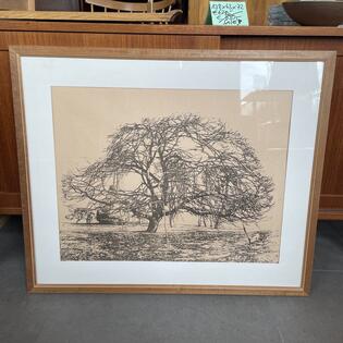 Baum, Josef Stoitzner