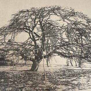 Baum, Josef Stoitzner
