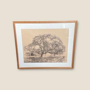 Baum, Josef Stoitzner