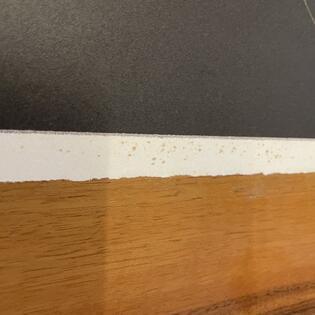 Paul Wunderlich „Sphinx und Handschuh“