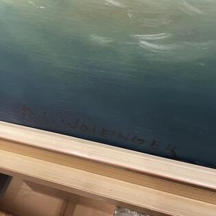 Meer - R.S. Wolfinger