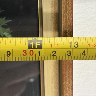 Gem&auml;lde einer Silberdistel