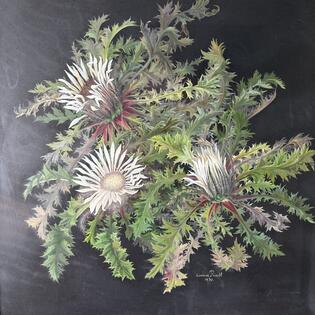 Gem&auml;lde einer Silberdistel