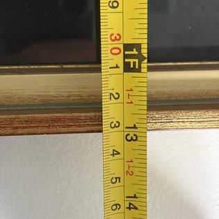 Gem&auml;lde einer Silberdistel