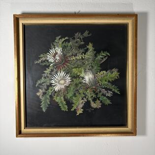 Gem&auml;lde einer Silberdistel