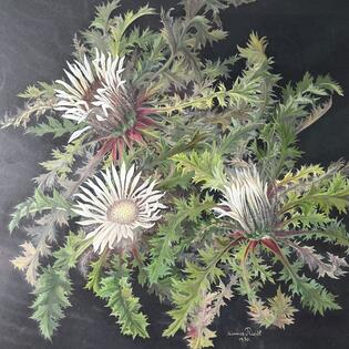 Gem&auml;lde einer Silberdistel